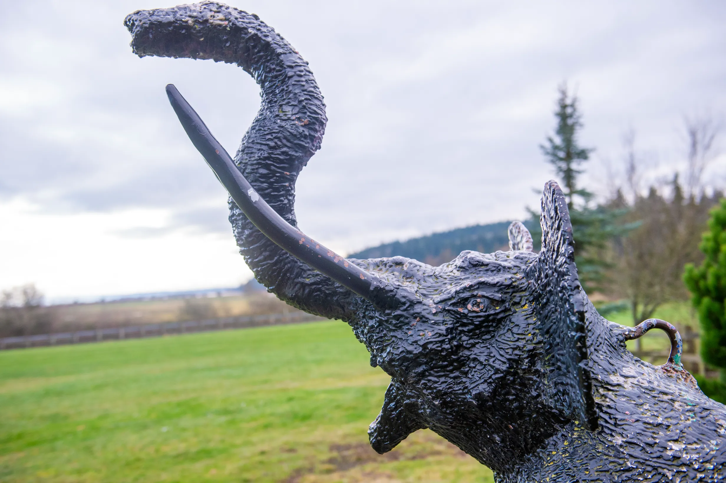 Elly — bronze elephant sculpture by James R. Shields III