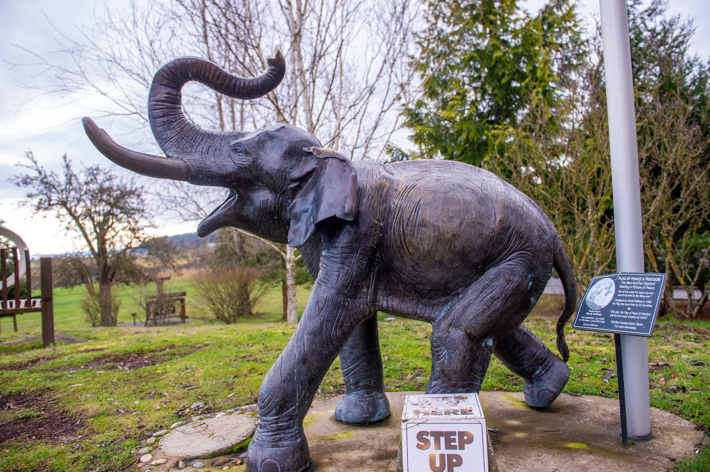 Lisa the Elephant — photo 8
