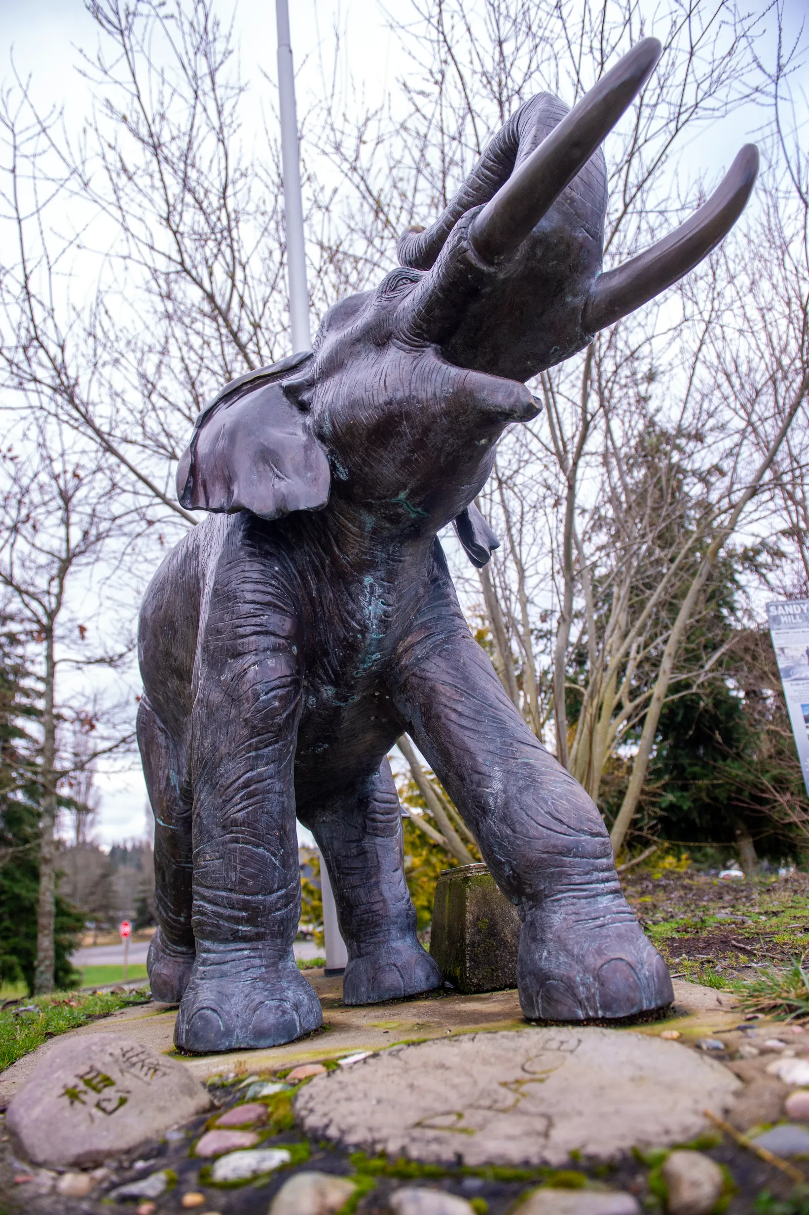 Lisa the Elephant — photo 9