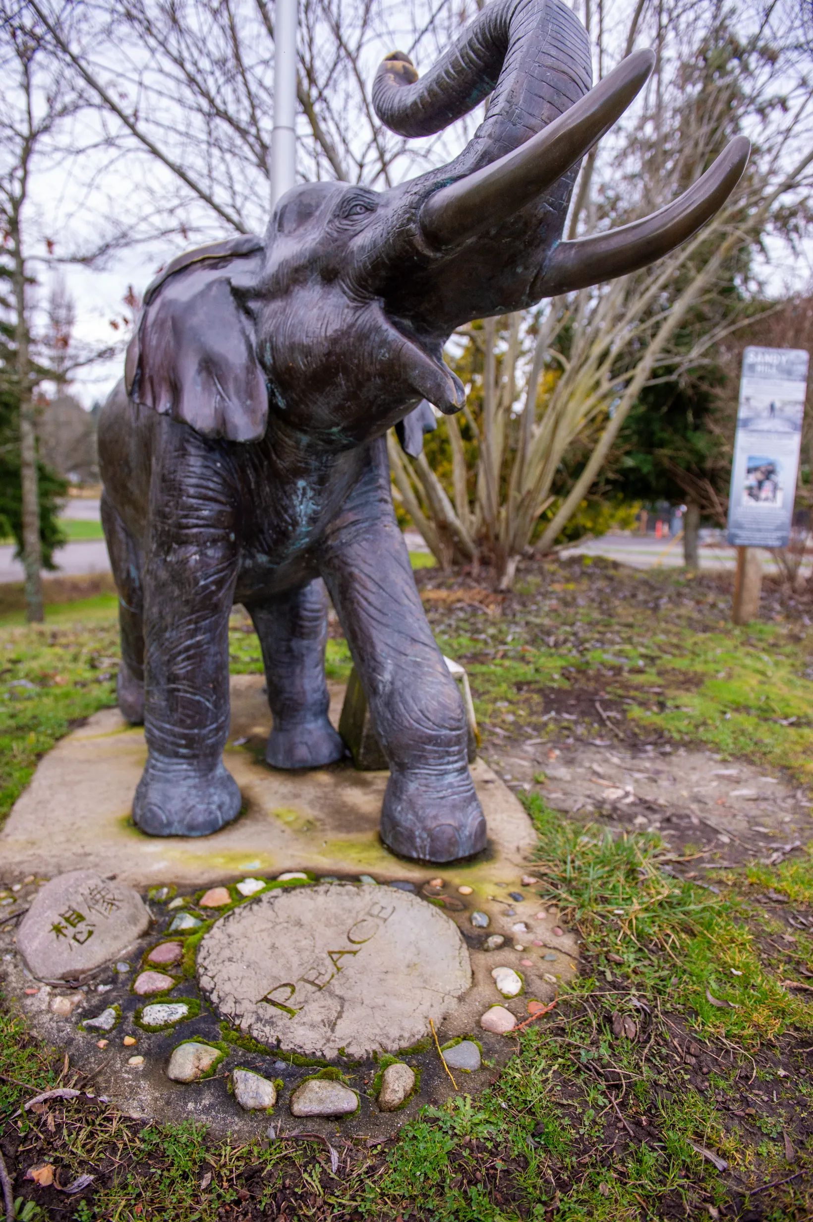 Lisa the Elephant — photo 10
