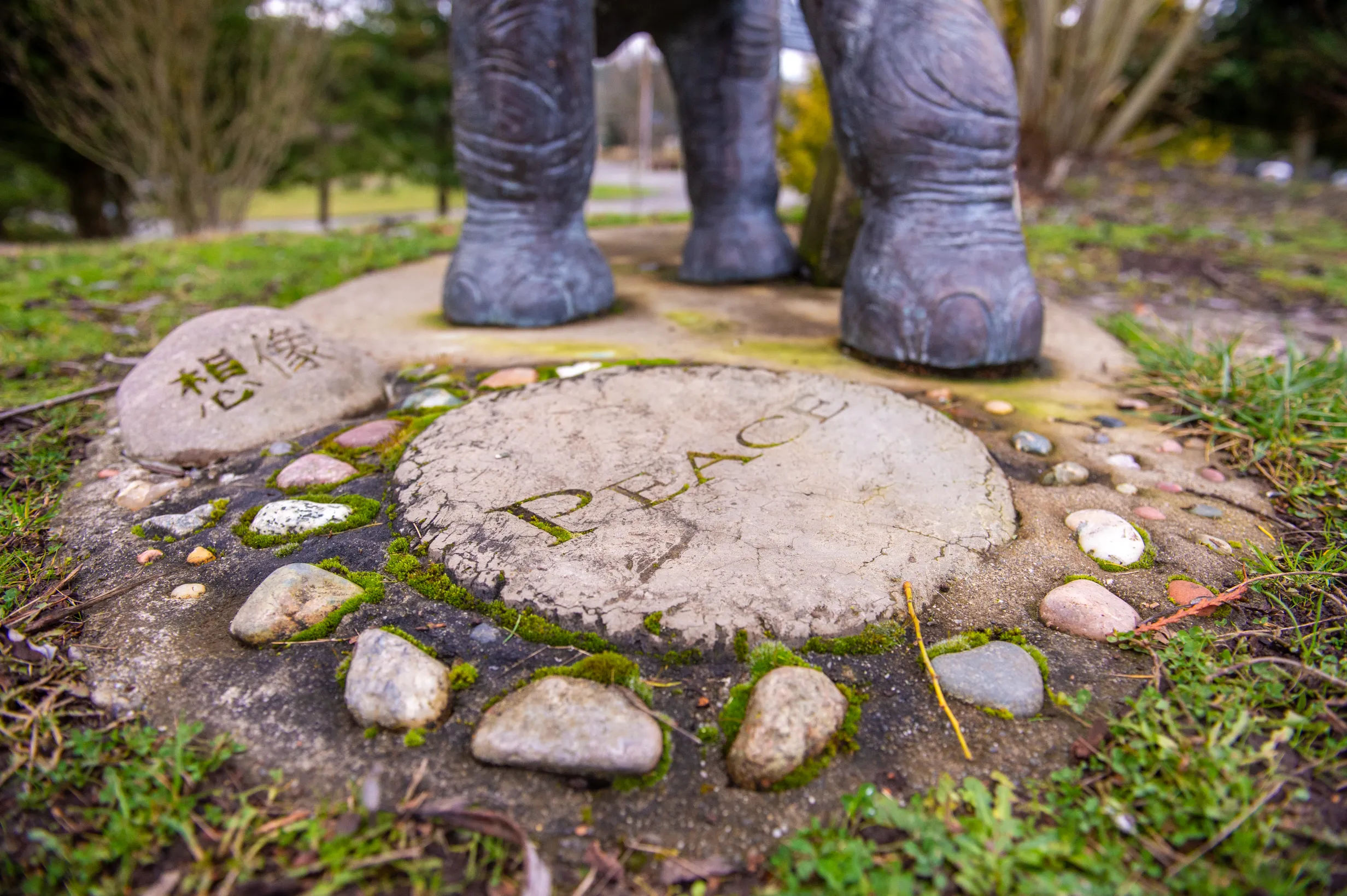 Lisa the Elephant — photo 11