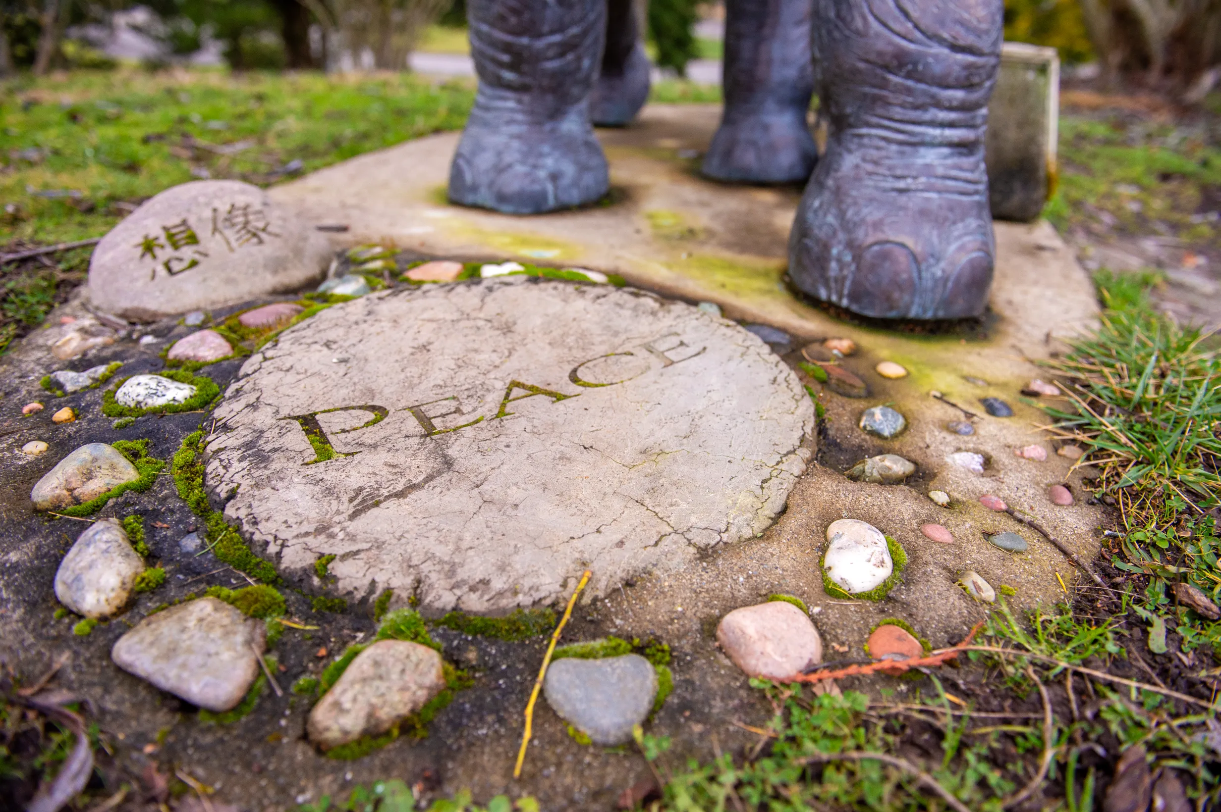 Lisa the Elephant — photo 12
