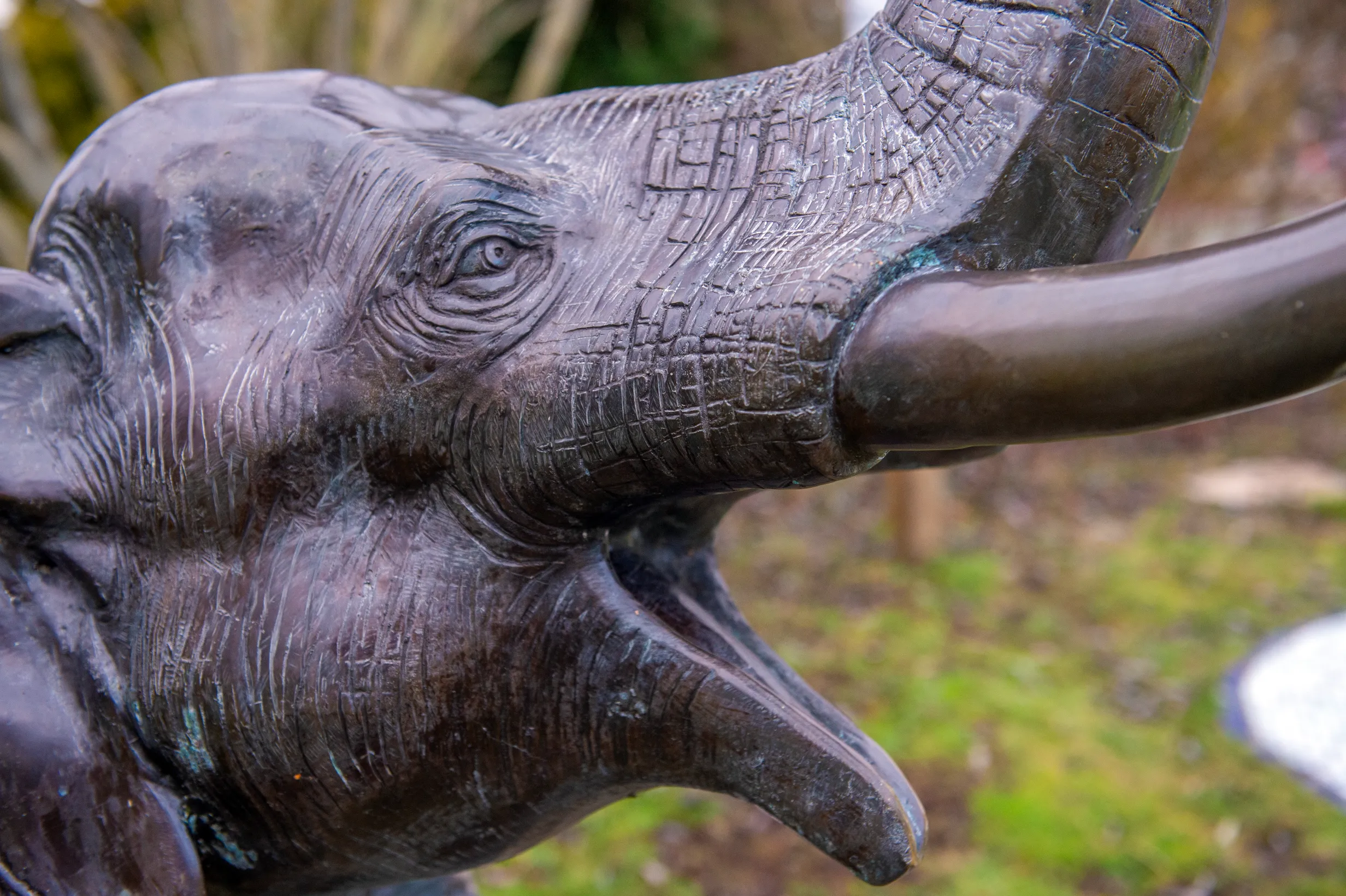 Lisa the Elephant — photo 3