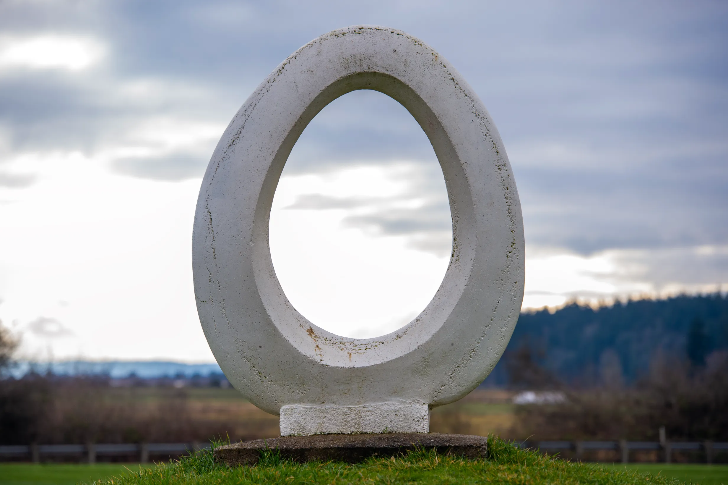 The Egg — photo 2