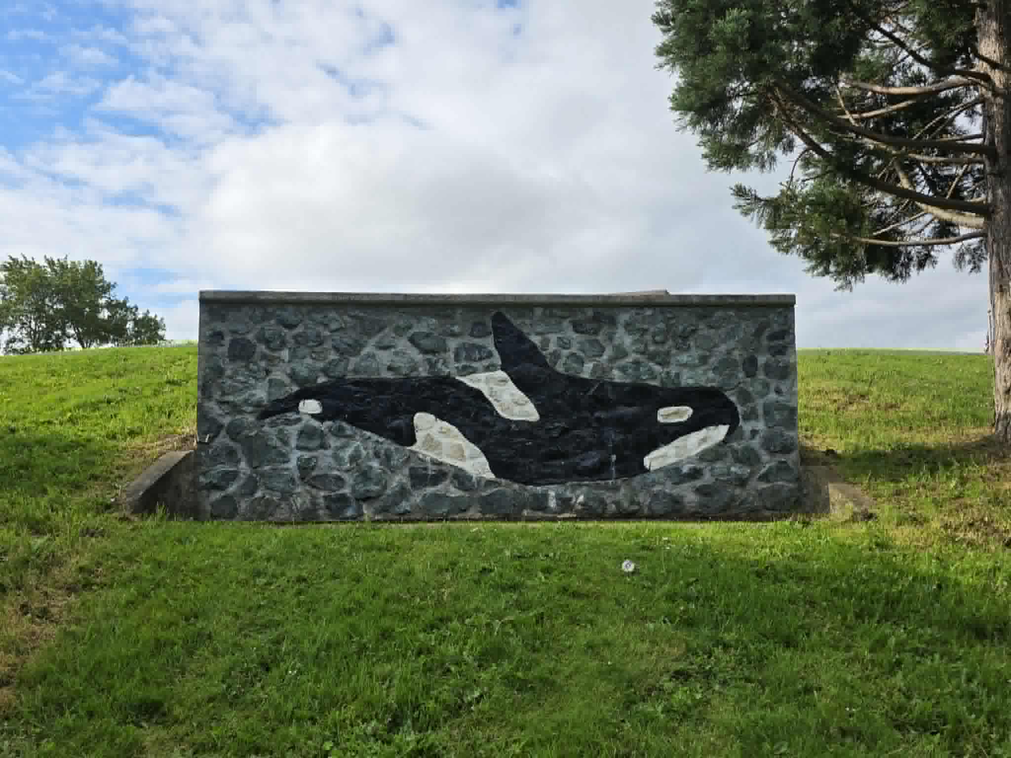 ORCA — stone mosaic by John Aveno at Freedom Park