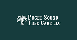 Puget Sound Tree Care